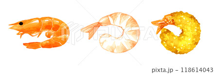 海老、むきエビ、エビフライ 料理・食べ物の手描き水彩イラスト素材 海老、むきエビ、エビフライ 料理・食べ物の手描き水彩イラスト素材 118614043