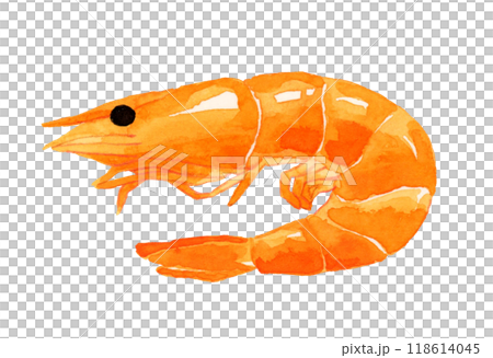蝦子烹飪/食物手繪水彩插畫素材 118614045