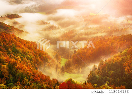 Misty mountain landscape 118614188