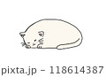 猫 118614387