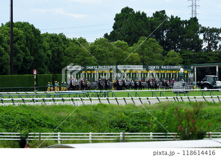 秋の中京芝競走 118614416