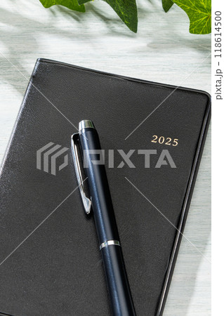 ペンと手帳2025 ペンと手帳2025 118614500