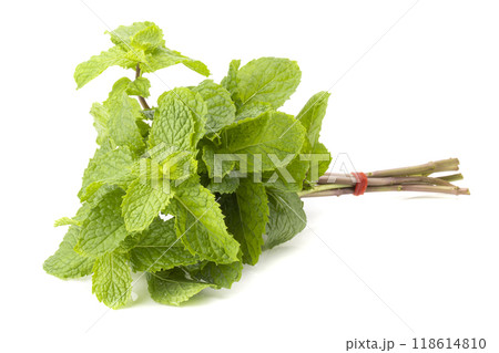 Fresh mint leaf isolated on a white background Fresh mint leaf isolated on a white background 118614810