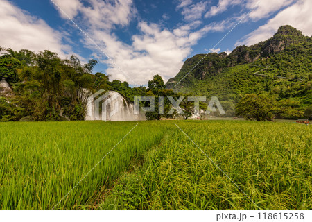 Ban Gioc waterfall in Cao Bang, Viet Nam 118615258