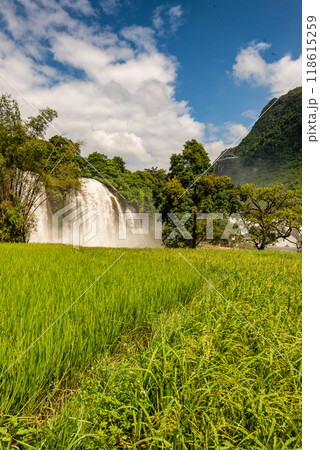 Ban Gioc waterfall in Cao Bang, Viet Nam 118615259