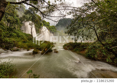 Ban Gioc waterfall in Cao Bang, Viet Nam 118615260