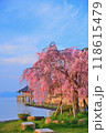 浮御堂と枝垂桜のコラボ 118615479