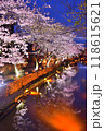 八幡堀の夜桜 118615621