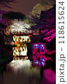 八幡堀の夜桜 118615624