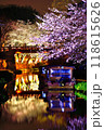 八幡堀の夜桜 118615626