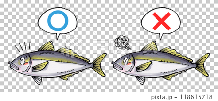 Judging horse mackerel set (True or False) 118615718