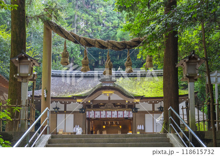 奈良県　狭井神社　しめ縄の鳥居越しに拝殿を望む 118615732