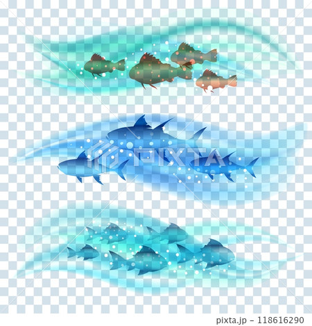 Shoals of fish in sea water 118616290