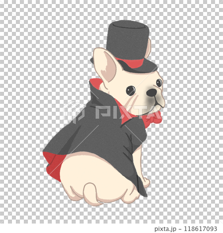 法國鬥牛犬穿著吸血鬼德古拉服裝坐著回頭看[白色] 118617093