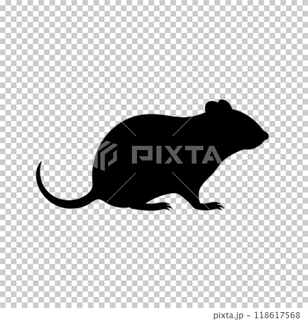 Black silhouette of a mouse, rat on white background. 118617568