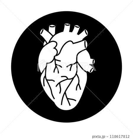 A white anatomical heart on a black circular background. Detailed line art depicting heart vessels and chambers. Ideal for medical, health, anatomy education, biology studies, and healthcare designs. 118617812