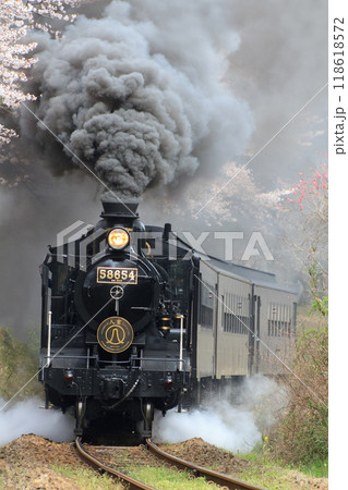 西人吉付近を行く「SL人吉」（JR九州） 118618572