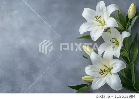 ユリの花 118618994