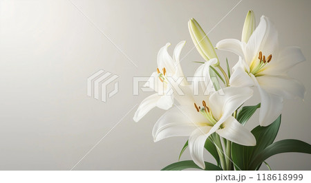 ユリの花 118618999