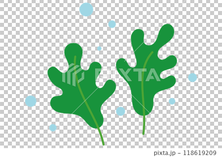 Simple wakame seaweed Simple wakame seaweed 118619209