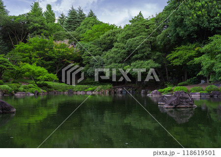 旧古河庭園　2023年(夏) の風景 112 118619501