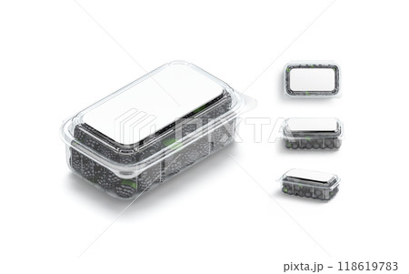 Blank transparent plastic box with blackberry mockup, different views 118619783