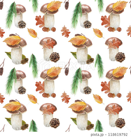 Porcini mushroom, alder leaf, cones, pine, oak watercolor seamless pattern isolated on white. High quality hand painted plant botanical illustration perfect for textile, posters, patterns, autumn 118619792