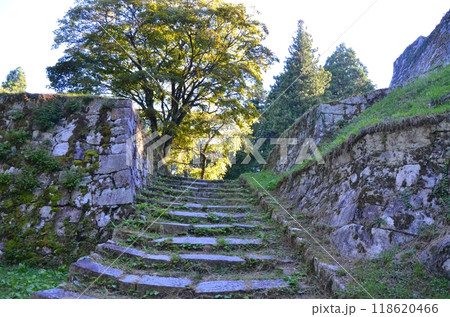 岩村城跡 本丸虎口の石垣 岩村城跡 本丸虎口の石垣 118620466