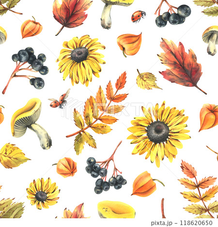 Autumn berries physalis, chokeberry, rowan leaves, maple, birch, russula mushrooms, rudbeckia flowers, tree branches and ladybugs. Watercolor illustrations. Seamless pattern on white background 118620650