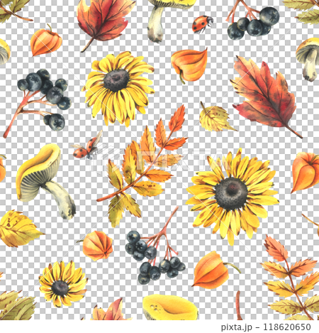 Autumn berries physalis, chokeberry, rowan leaves, maple, birch, russula mushrooms, rudbeckia flowers, tree branches and ladybugs. Watercolor illustrations. Seamless pattern on white background 118620650