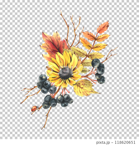 Autumn berries physalis, chokeberry, rowan leaves, maple, birch, russula mushrooms, rudbeckia flowers, tree branches and ladybugs. Watercolor illustrations. Sublimation isolated from the background 118620651