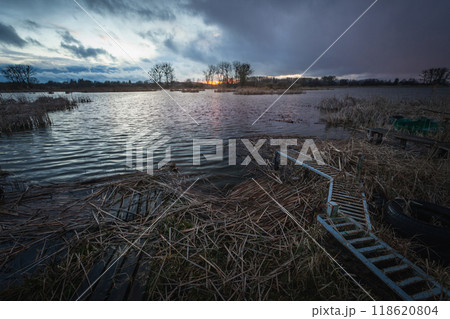 Lake shore with reeds and a cloudy evening sky 118620804