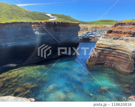 夏の海と潮溜まり 118620816