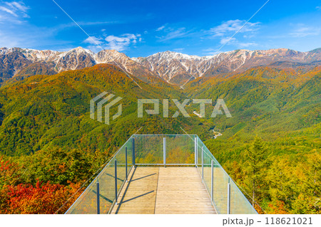絶景　秋の白馬　　貴重な三段紅葉 118621021