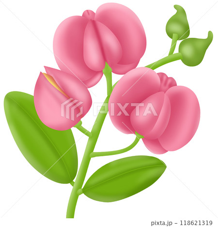 a branch of pink fuchsia flower 118621319