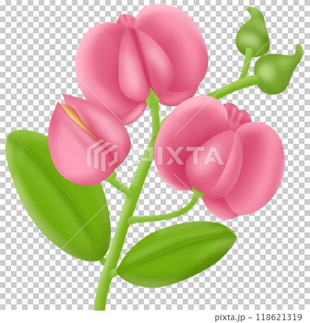 a branch of pink fuchsia flower 118621319