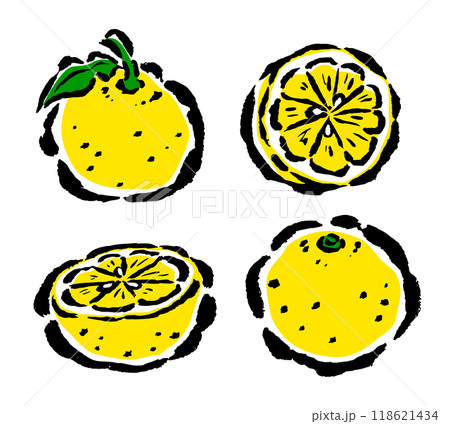 シンプルな柚子の筆タッチイラスト　全体・断面 118621434