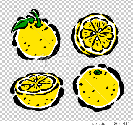 シンプルな柚子の筆タッチイラスト　全体・断面 118621434