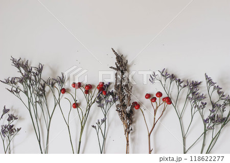 Floral styled image composition, banner. Dry limonium flowers, red rose hips, grass and little seeds isolated on white table background. Flatlay, top view. Autumn, winter decorative natural still life Floral styled image composition, banner. Dry limonium flowers, red rose hips, grass and little seeds isolated on white table background. Flatlay, top view. Autumn, winter decorative natural still life 118622277