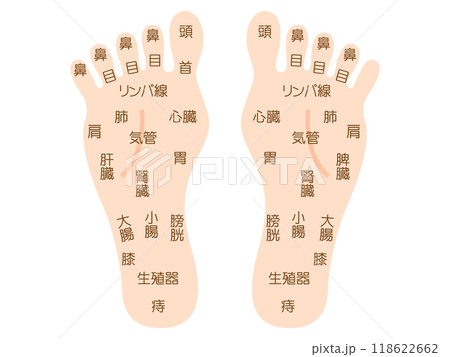 シンプルな足つぼマッサージの図解イラスト素材4 118622662
