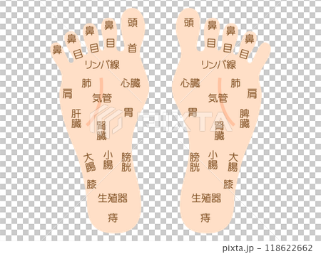 シンプルな足つぼマッサージの図解イラスト素材4 118622662