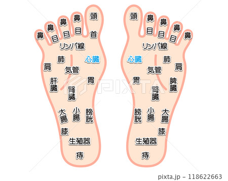 シンプルな足つぼマッサージの図解イラスト素材 118622663