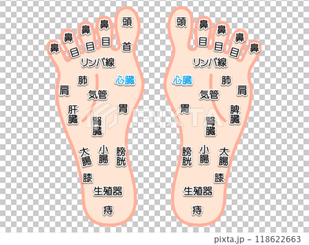 シンプルな足つぼマッサージの図解イラスト素材 118622663
