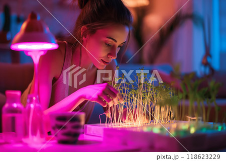 Young woman watching illuminated smart microgreens farm at home 118623229