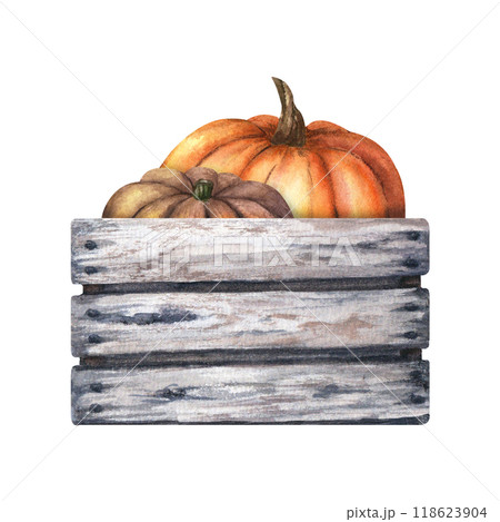Vintage wooden crate, box with classic autumn vegetables pumpkins. Hand drawn watercolor illustration isolated on white background. For clip art cards menu label package 118623904