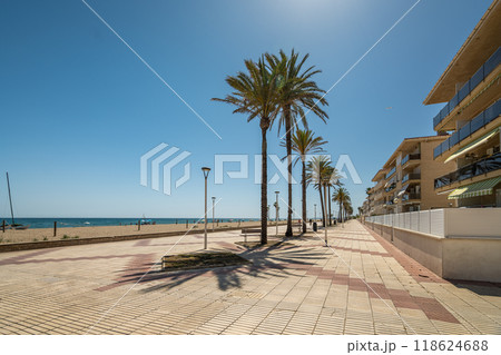 A beautiful and sunny beachside promenade, lined with tall palm trees swaying gently A beautiful and sunny beachside promenade, lined with tall palm trees swaying gently 118624688