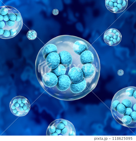 megakaryocyte Cell megakaryocyte Cell 118625095