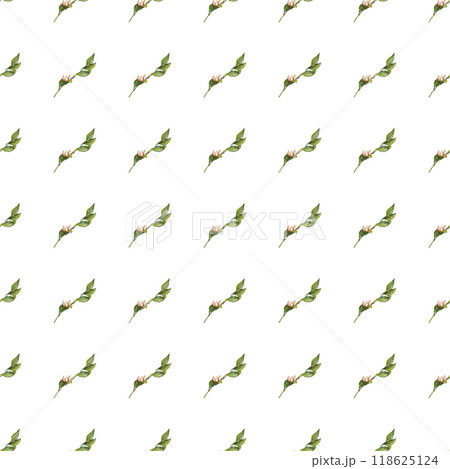 Blooming seamless pattern of leaf sprigs with flowers. Nature art print. Hand drawn background. Creative design. Botanical watercolor illustration 118625124