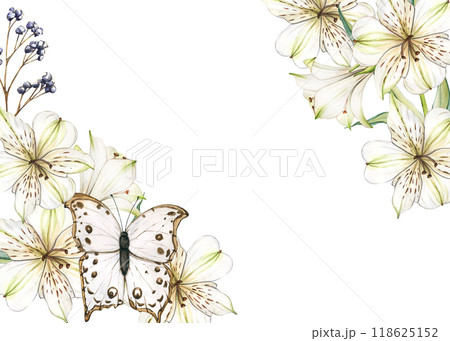 Frame with White flowers and Butterfly. Watercolor alstroemeria flowers. Composition with Lilies close-up. Floral botanical illustrations for graphic designer decorate, product design and card 118625152