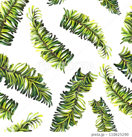 Seamless pattern with green fir branches. Watercolor hand drawn illustration for New Year, Christmas. Template for invitation, scrapbook, card, sticker, ribbons, wallpaper Seamless pattern with green fir branches. Watercolor hand drawn illustration for New Year, Christmas. Template for invitation, scrapbook, card, sticker, ribbons, wallpaper 118625290